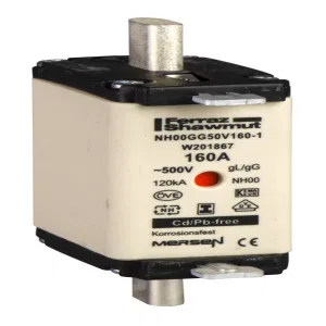 Schneider Electric DF2FGN125 — предохранитель тип GG, размер 00, 125 А (ШНАЙДЕР) Schneider Electric DF2FGN125 — предохранитель тип GG, размер 00, 125 А (ШНАЙДЕР)