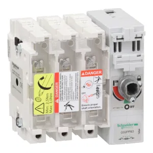 Рубильник с предохранителем Schneider Electric TeSys GS 315А 3P, B1, B2, B3 (ШНАЙДЕР) Рубильник с предохранителем Schneider Electric TeSys GS 315А 3P, B1, B2, B3 (ШНАЙДЕР)