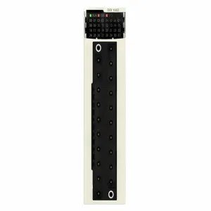 Schneider Electric BMXDDI1604T (ШНАЙДЕР) Schneider Electric BMXDDI1604T (ШНАЙДЕР)